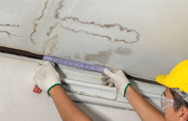 Reliable Basement Flood Cleanup contractor in Saint David, AZ by Hirex Water Damage